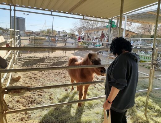 McKee Ranch Foundation