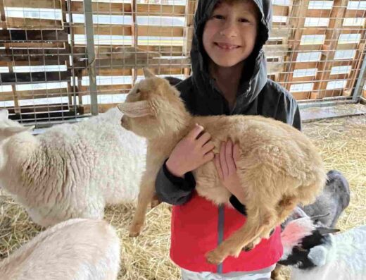 Tuckasegee Farm Animal Rescue & Petting Zoo located at 52 Jacobs Rd, Bryson City, NC 28713, United States