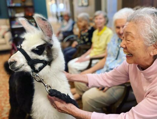 Petting Zoo 2 U located at Henderson, NV, United States.